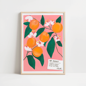 Abricots - Horizons Illustrations